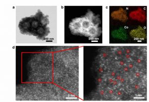 تصویر میکروسکوپی از نانوکاتالیزورهای کبالت